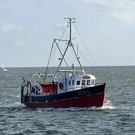 Insel Koje 1-1